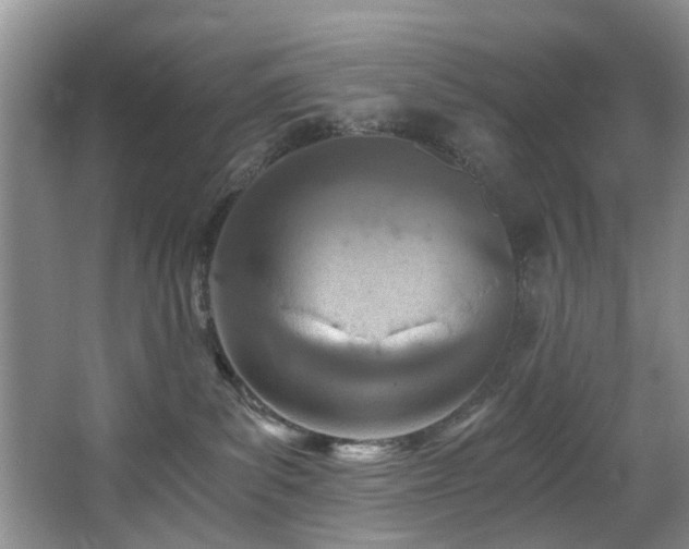 X0000068310139200604241413