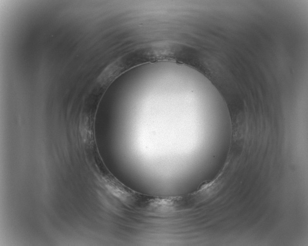 X0000068310140200604241413