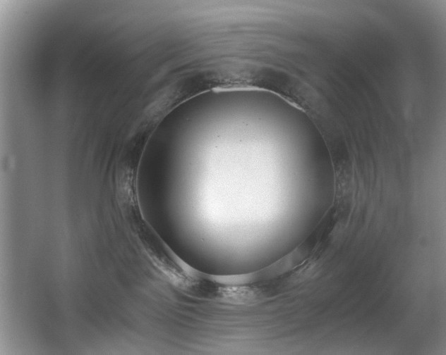 X0000068310141200604241413