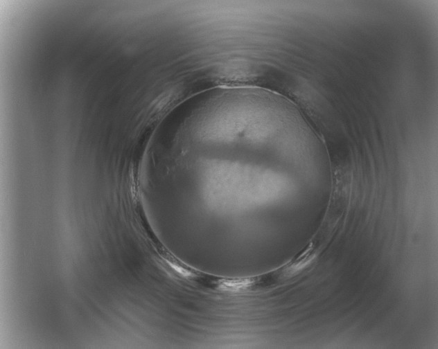 X0000068310143200604241413