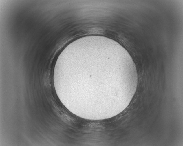 X0000068310146200604241412