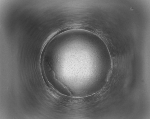 X0000068310147200604241412