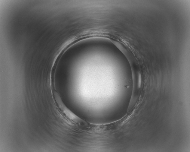 X0000068310148200604241412