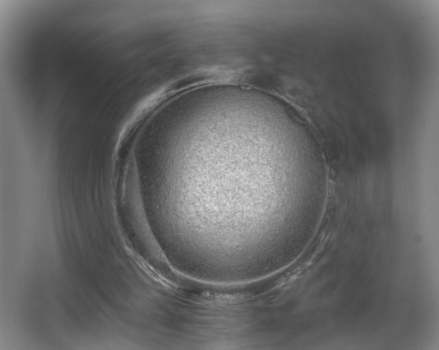 X0000068310149200604241412