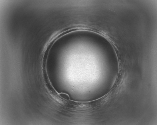 X0000068310151200604241412