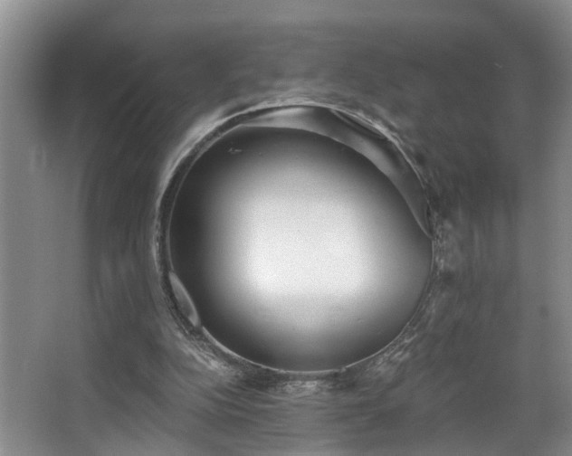 X0000068310152200604241412