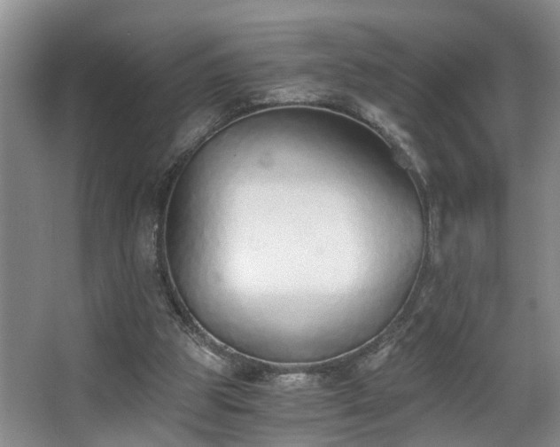 X0000068310153200604241412