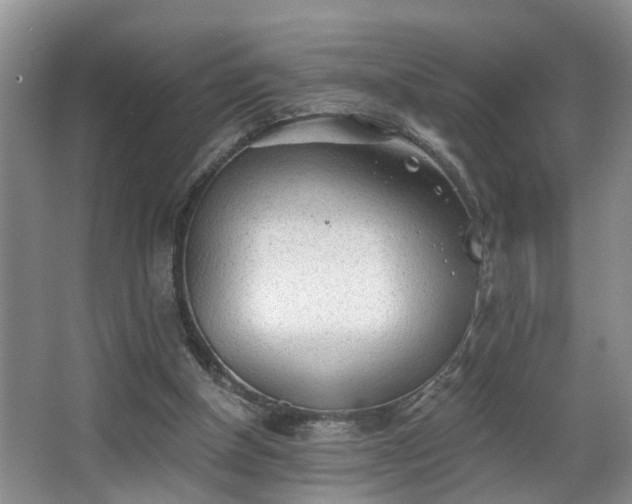 X0000068310154200604241412