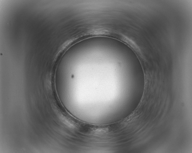 X0000068310155200604241412