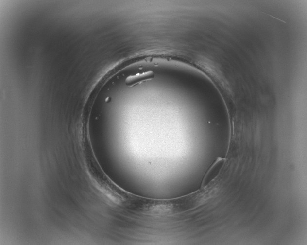 X0000068310156200604241412