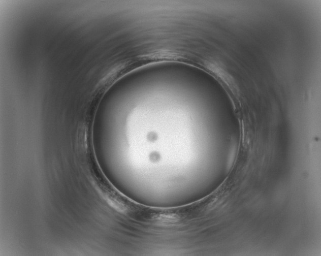 X0000068310157200604241412