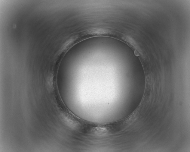 X0000068310159200604241412