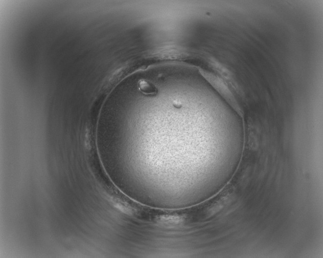 X0000068310161200604241412