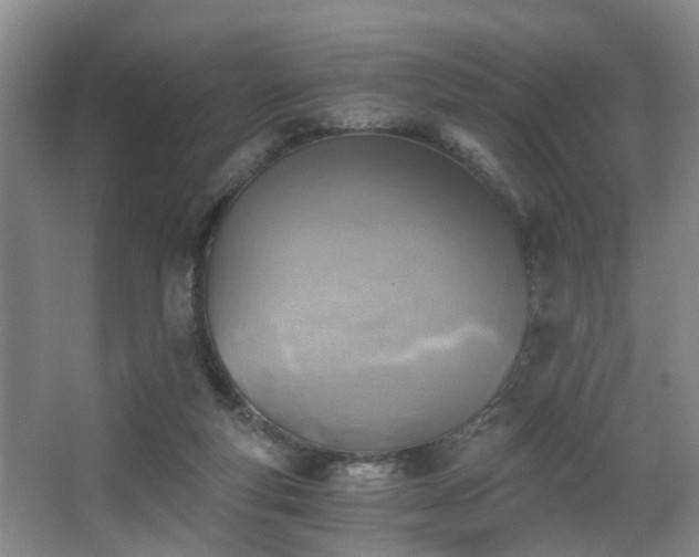 X0000068310163200604241412