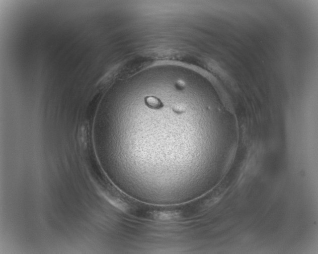 X0000068310165200604241412