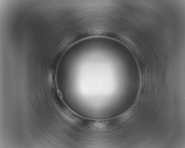 X0000068310166200604241412