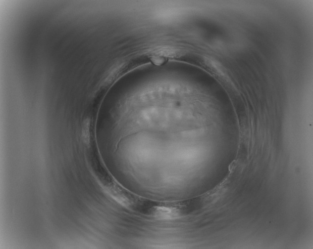 X0000068310167200604241412