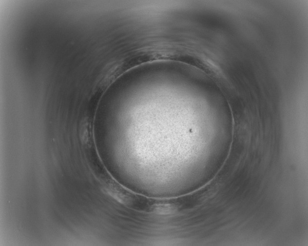 X0000068310169200604241412