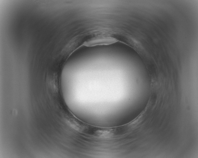 X0000068310170200604241412