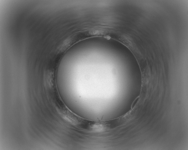 X0000068310171200604241412