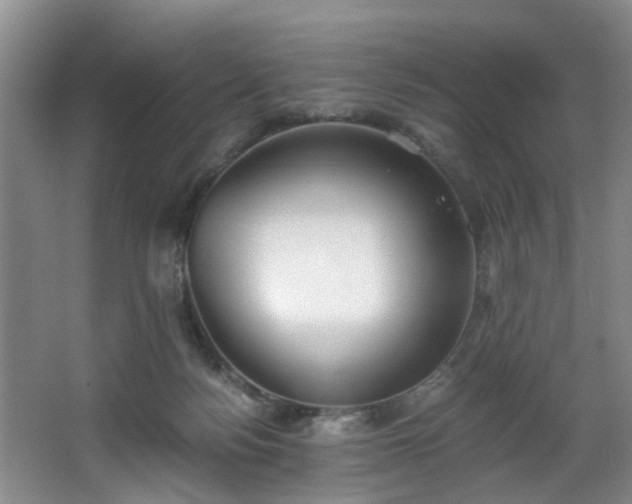 X0000068310172200604241412