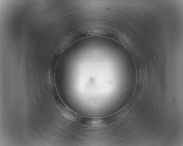 X0000068310173200604241412