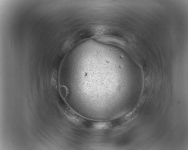 X0000068310175200604241412