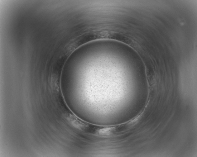 X0000068310178200604241412