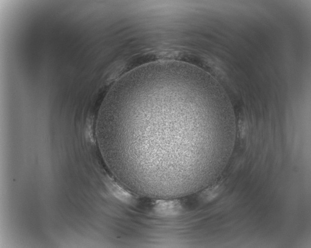 X0000068310185200604241413