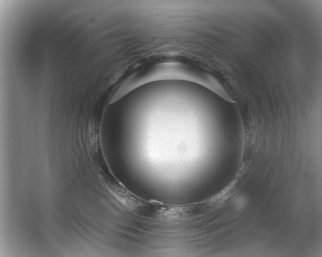 X0000068310186200604241413