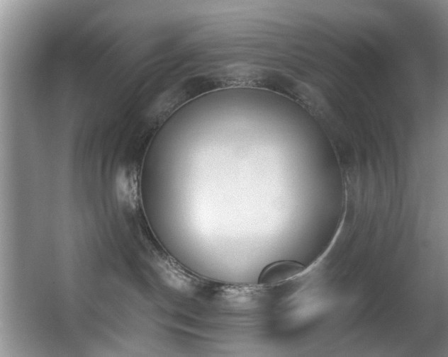 X0000068310190200604241413