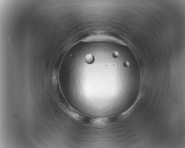 X0000068310191200604241413