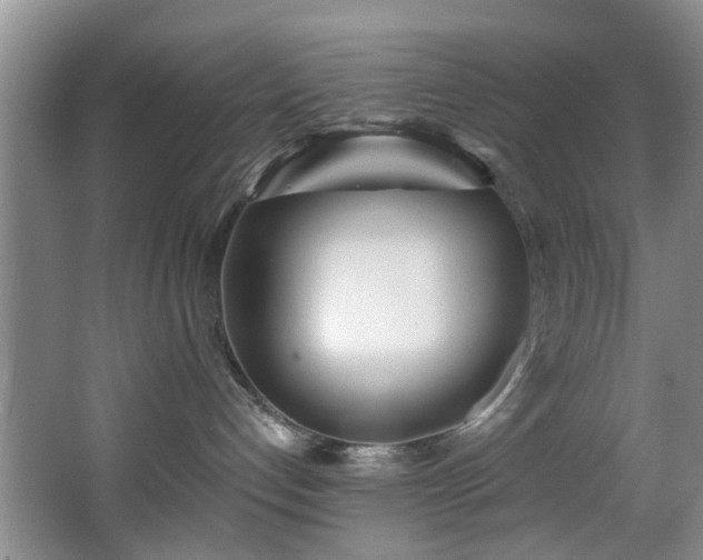 X0000068310192200604241413