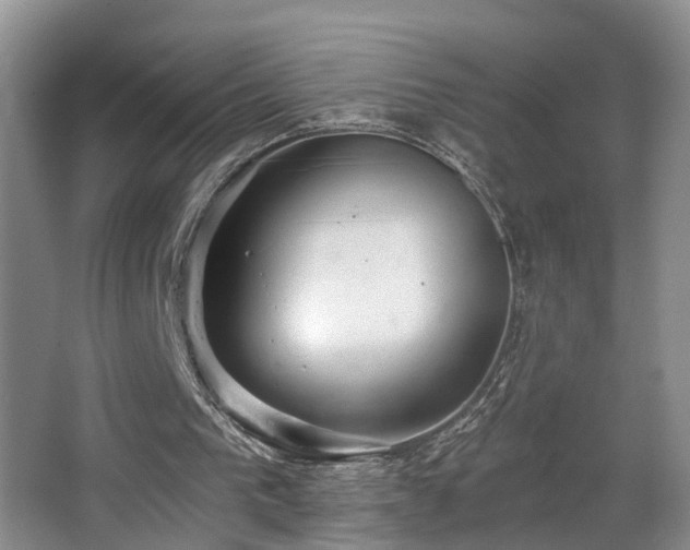 X0000068310193200604241412