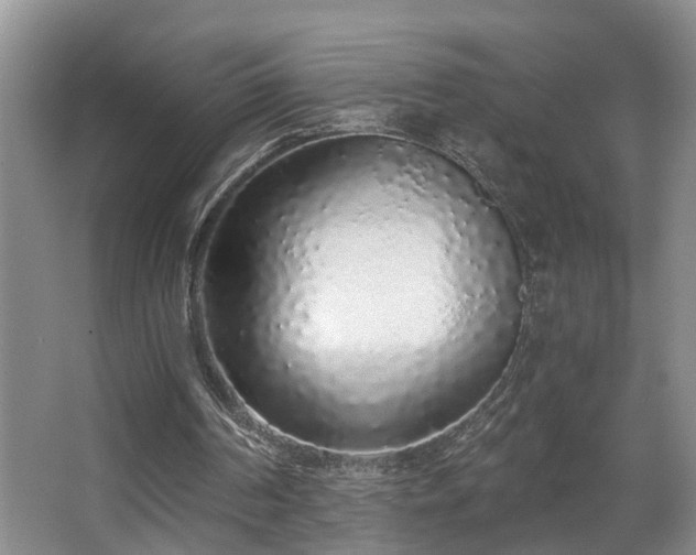 X0000068310194200604241412