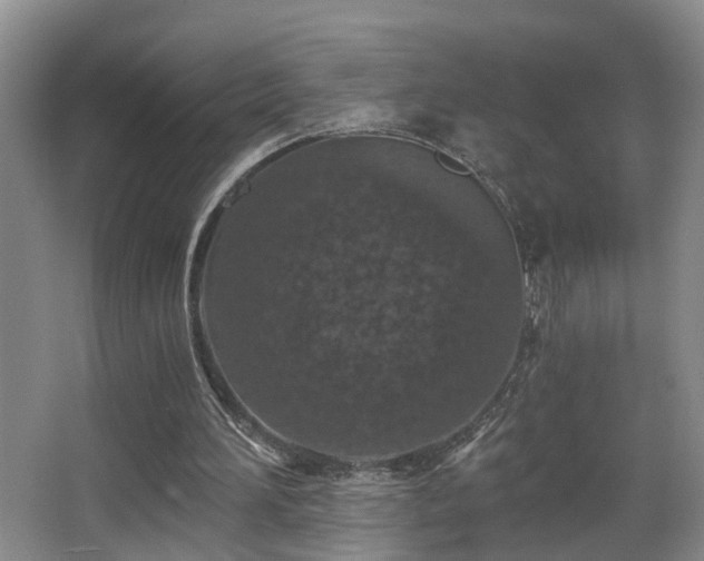 X0000068310196200604241412