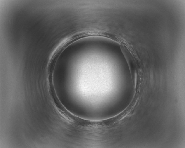 X0000068310197200604241412