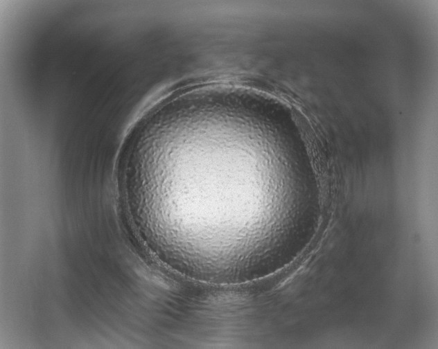 X0000068310198200604241412