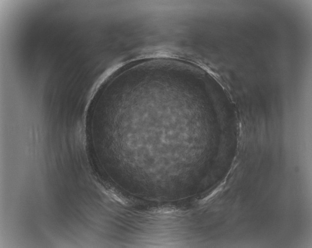 X0000068310200200604241412