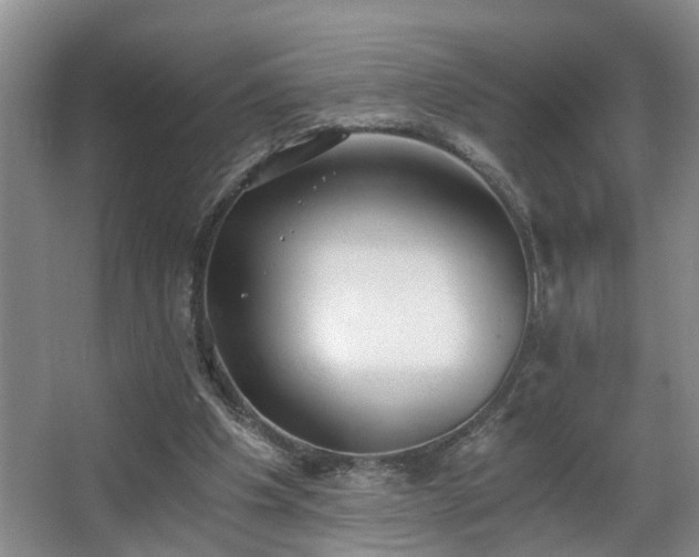 X0000068310201200604241412