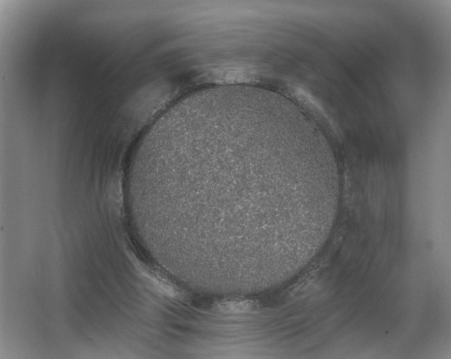 X0000068310202200604241412