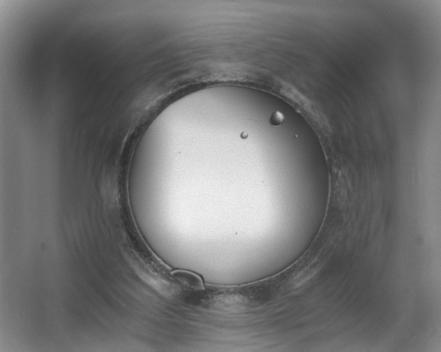 X0000068310203200604241412