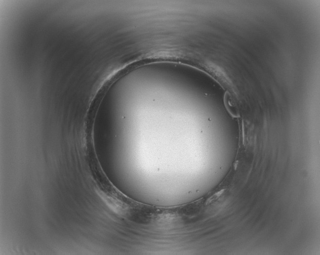 X0000068310204200604241412