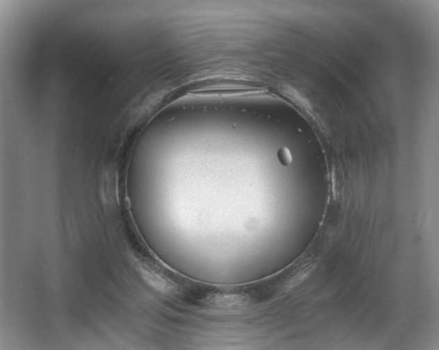 X0000068310205200604241412