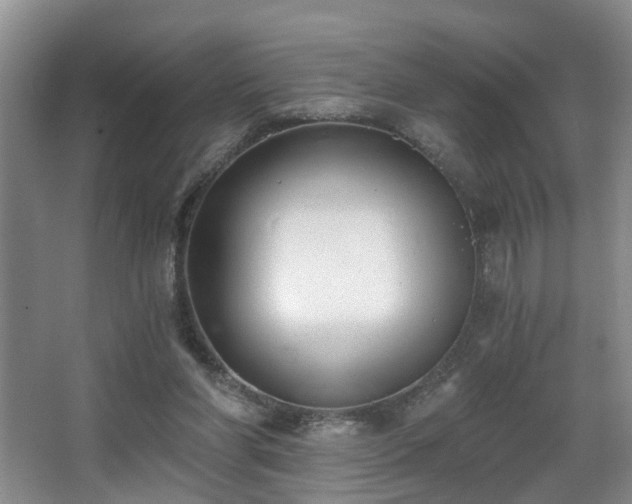 X0000068310206200604241412