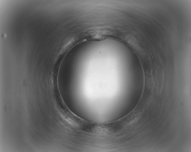 X0000068310207200604241412