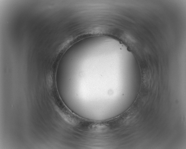 X0000068310208200604241412