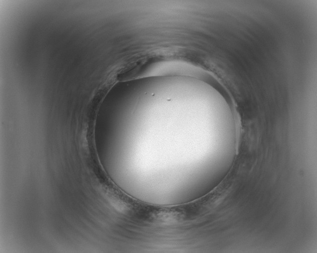 X0000068310209200604241412