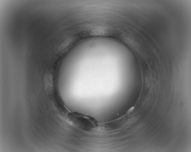 X0000068310211200604241412