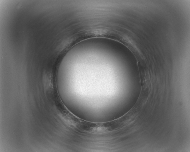 X0000068310212200604241411